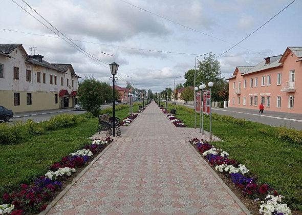 Центр города облагораживают - на Молодежной сажают клены и чинят асфальт